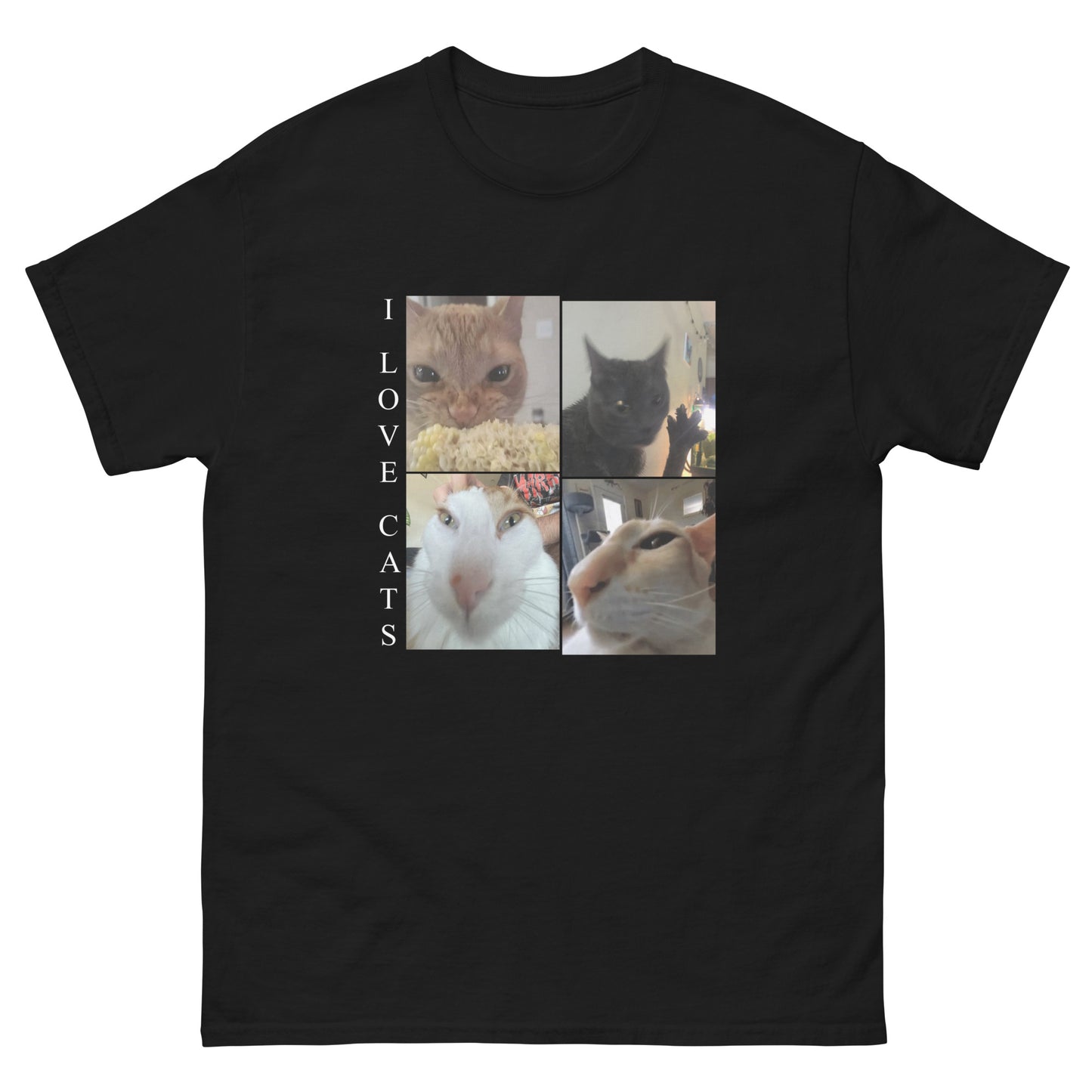 I LOVE CATS